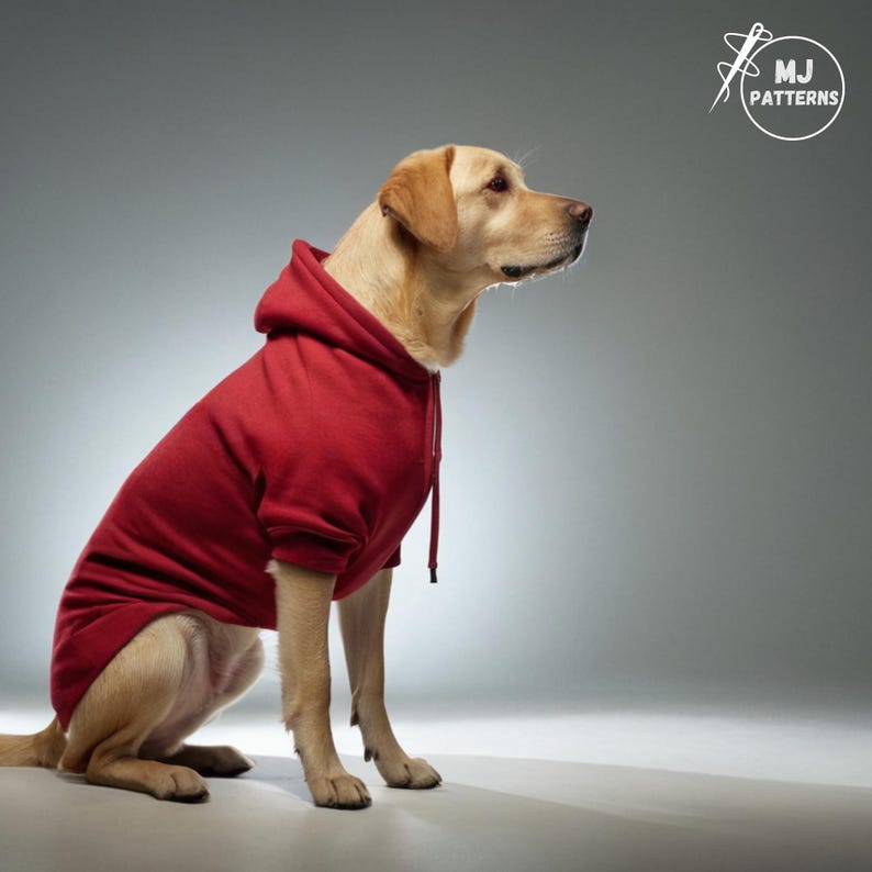 Pu&ograve; includere: Un cane Labrador Retriever giallo che indossa una felpa con cappuccio rossa. Il cane &egrave; seduto su uno sfondo grigio.