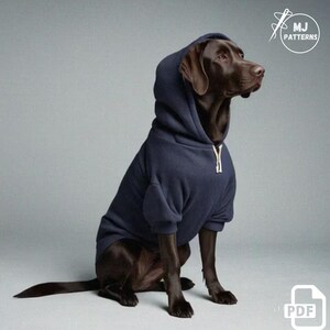 Pu&ograve; includere: Un cane marrone che indossa una felpa con cappuccio blu navy. Il cane &egrave; seduto su uno sfondo grigio chiaro.