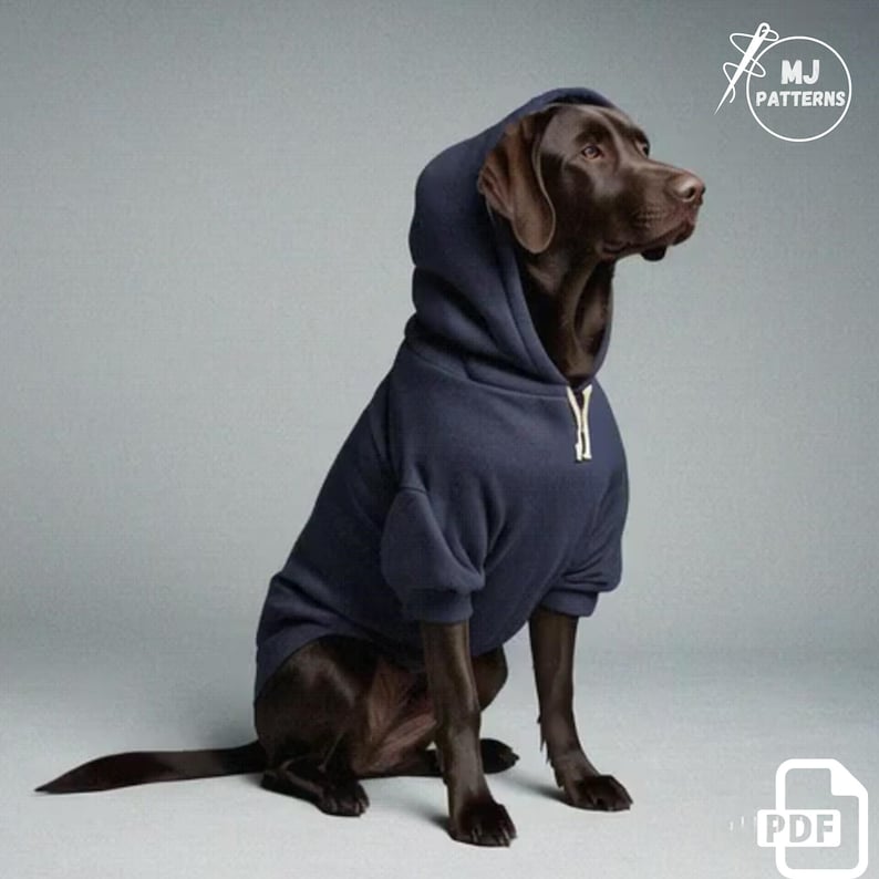 Pu&ograve; includere: Un cane marrone che indossa una felpa con cappuccio blu navy. Il cane &egrave; seduto su uno sfondo grigio chiaro.