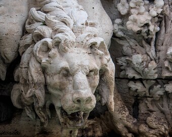 Bernini's Lion - instant downloadable art photography