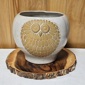 May include: A round ceramic planter with a speckled off-white glaze and a raised, tan-colored owl motif on the front. The owl design features large circular eyes and a textured feather pattern covering the face, set against a smooth, curved body.