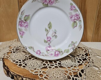 Platos vintage Bavaria Z S & C con rosas rosas y ribete dorado de 20 cm