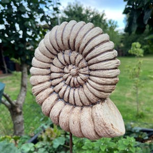 Könnte beinhalten: Beige Gartenornament in Spiralform, das einem versteinerten Ammoniten ähnelt. Die Skulptur ist auf einer Metallstange montiert und vor einem verschwommenen grünen Hintergrund aus Blättern und Gras platziert. Das detaillierte Design weist strukturierte Rippen und eine zentrale Spirale auf.