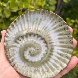 Könnte beinhalten: Eine kleine, runde Keramikschale mit einem Spiralmuster, das von der Mitte bis zum gewellten Rand verläuft. Die Glasur ist eine Mischung aus Salbeigrün und Cremeweiß, mit feinen braunen Sprenkeln und einem kupferfarbenen Randabschluss.
