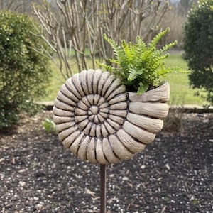 Könnte beinhalten: Ein beigefarbener, spiralförmiger Pflanztopf, der einer Nautilusmuschel ähnelt, mit einer grünen Farnpflanze im Inneren. Der Pflanztopf ist auf einem dunklen Metallpfahl in dunklem Mulch befestigt.