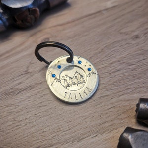 Personalized dog and cat ID medal in brass, &quot;Landscape&quot; model