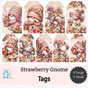 Diario spazzatura Strawberry Gnome, etichette grandi e piccole, etichette regalo, shabby chic + pizzo, effimere, carta stampabile, scrapbooking JJ0066