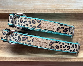 Leopard Dog Collar on Teal, Cheetah Print Dog Collar, Dixie Lane Collars