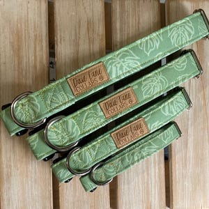 Sage Green Monstera Dog Collar, Summer Palm Leaves, Dixie Lane Collars