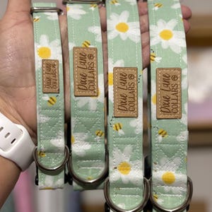 May include: Four dog collars with a pale green background and a white daisy pattern with yellow centres. The collars have a brown leather tag that reads "Dixie Lane Collars". Each collar has a silver metal D-ring.