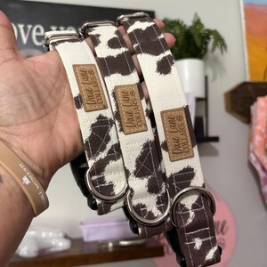 Brown Cow Print Fabric Dog Collar, Cotton Canvas, Dixie Lane Collars image 2