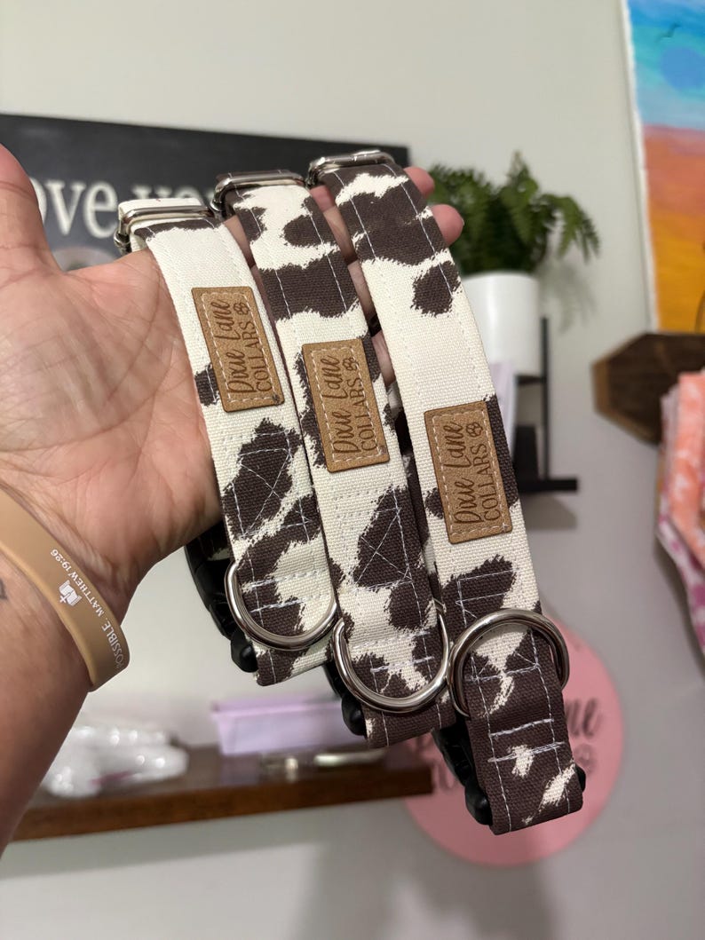 Brown Cow Print Fabric Dog Collar, Cotton Canvas, Dixie Lane Collars image 2