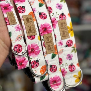 May include: Close-up of several dog collars with a white background. The collars feature a floral and ladybug pattern with pink flowers, orange accents, and red ladybirds. Each collar has a metal ring and a brown leather tag that reads "Dixie Lane Collars".