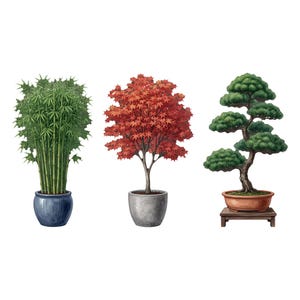 Può includere: Una collezione di tre piante in vaso: un gruppo di steli di bambù verde in un vaso di ceramica blu, un albero con foglie rosso vivo in un vaso di pietra grigia e un bonsai di pino verde scolpito in un vaso marrone su un supporto.