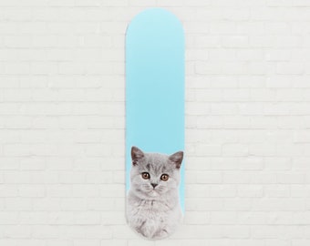 Skateboard Wandkunst Gedruckt auf Glas (Acryl): Katze auf Blau