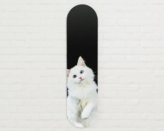 Skateboard Kunst auf Glas gedruckt (Acryl): Katze auf Schwarz