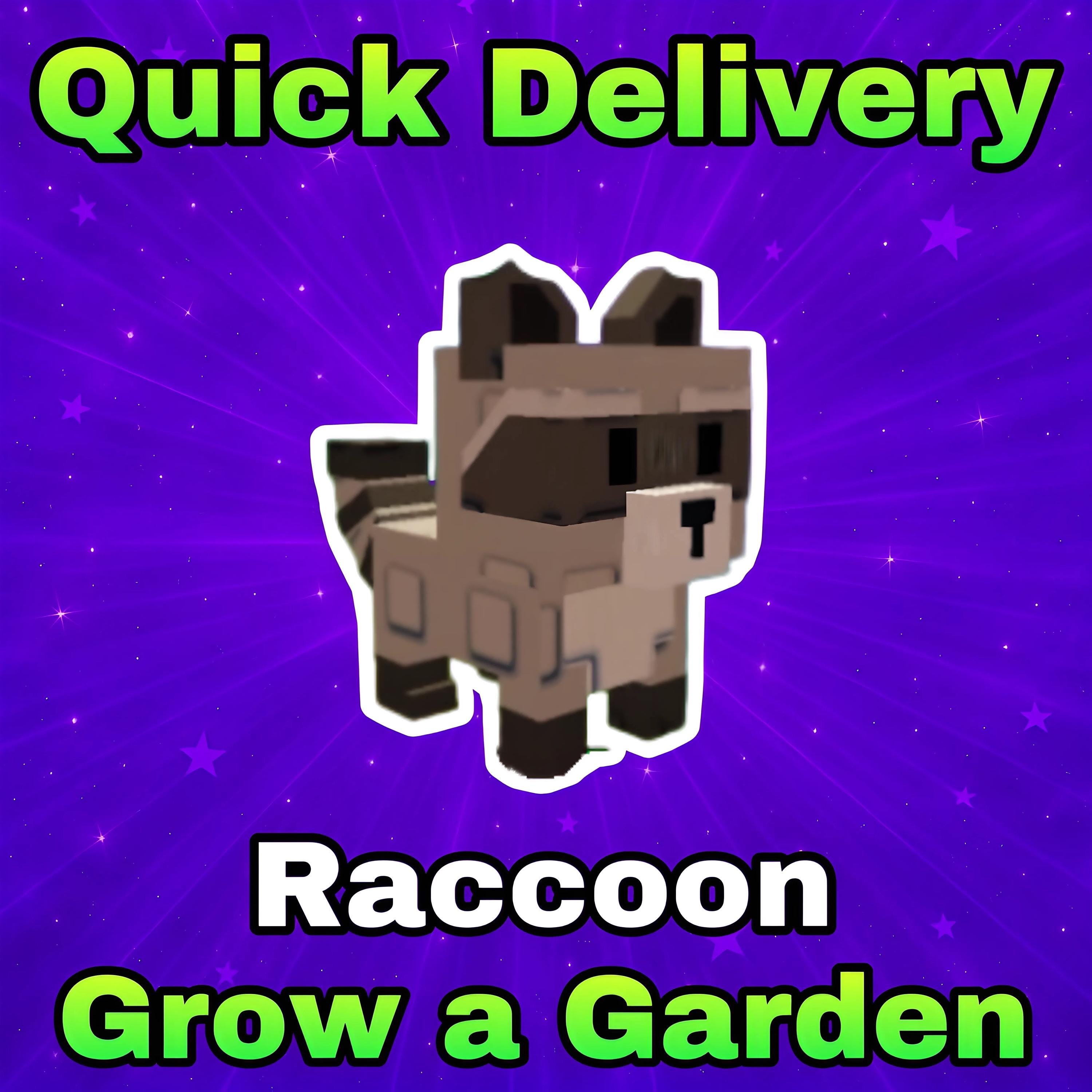 Raccoon | Grow A Garden - Quick Delivery