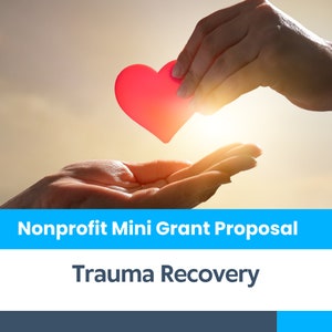 Proposta de minidoação sem fins lucrativos - Programa de recuperação de trauma