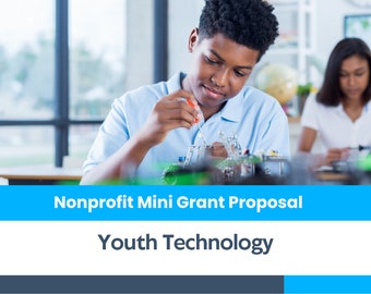 Nonprofit Mini Grant Proposal - Youth Technology Training Program