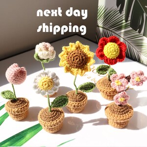 Mini Crochet Potted Flowers, Finished Crochet Flowers Pot, Handmade Knitted Flowers Crochet Decoration, Gifts for Her