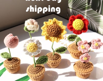 Mini Crochet Potted Flowers, Finished Crochet Flowers Pot, Handmade Knitted Flowers Crochet Decoration, Gifts for Her
