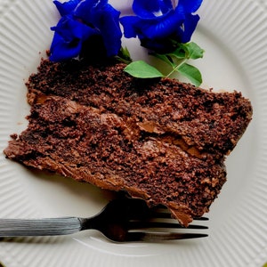 Het BESTE decadente glutenvrije veganistische chocoladetaartrecept Snel Eenvoudig Gemakkelijk Heerlijk Dessert Zuivelvrij Eivrij Plantaardig Recept