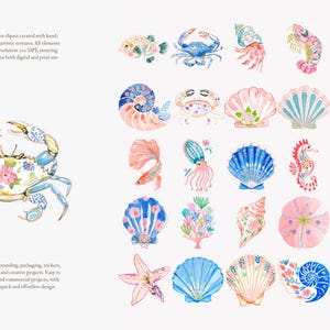 preppy coastal clipart, nautical sea animals watercolor, colorful shells crab shrimp ocean graphics, summer beach illustration set image 9