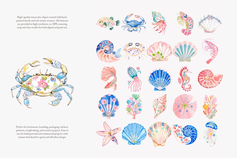 preppy coastal clipart, nautical sea animals watercolor, colorful shells crab shrimp ocean graphics, summer beach illustration set image 9