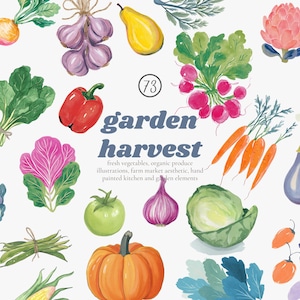 May include: Watercolor illustration of various garden vegetables, including carrots, radishes, a pumpkin, and a cabbage. The text "Garden Harvest" is displayed with additional text describing the illustrations as hand-painted kitchen and garden elements.