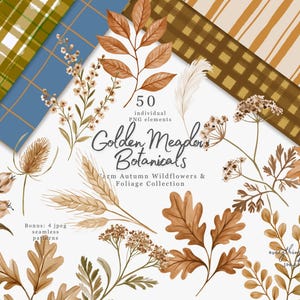 Op de afbeelding: Een digitale collectie van 50 Golden Meadow Botanicals PNG-elementen en 4 naadloze patronen met herfstbloemen, gebladerte, eikenbladeren, tarwe en bessen in bruine, groene en blauwe tinten met ruitjes- en streeppatronen.
