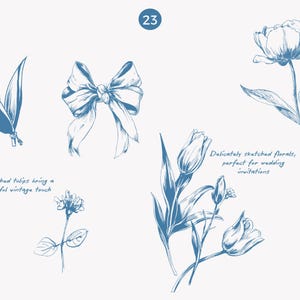 K&ouml;nnte beinhalten: Blau-Tinte-Skizzen von Blumen und einer Schleife auf wei&szlig;em Hintergrund. Das Bild enth&auml;lt Tulpen und andere florale Elemente. Der Text lautet: "Skizzierte Tulpen bringen einen friedlichen Vintage-Touch" und "Zart skizzierte Blumen, perfekt f&uuml;r Hochzeitseinladungen."