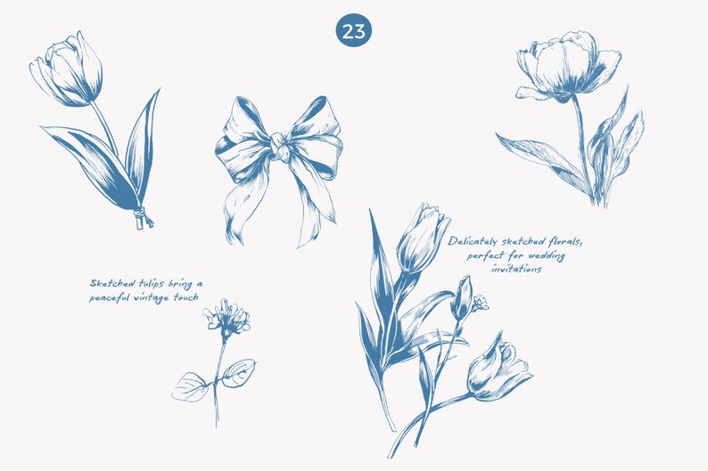K&ouml;nnte beinhalten: Blau-Tinte-Skizzen von Blumen und einer Schleife auf wei&szlig;em Hintergrund. Das Bild enth&auml;lt Tulpen und andere florale Elemente. Der Text lautet: "Skizzierte Tulpen bringen einen friedlichen Vintage-Touch" und "Zart skizzierte Blumen, perfekt f&uuml;r Hochzeitseinladungen."