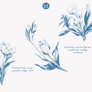 K&ouml;nnte beinhalten: Blau-wei&szlig;e Blumenillustrationen von Tulpen und Bl&auml;ttern. Das Bild enth&auml;lt den Text "Sketched tulips bring a peaceful vintage touch" und "Delicately sketched florals, perfect for wedding invitations."