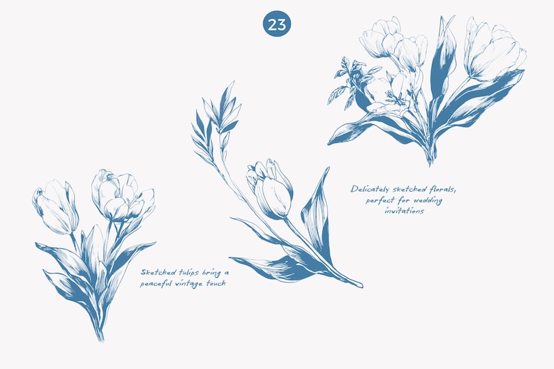 K&ouml;nnte beinhalten: Blau-wei&szlig;e Blumenillustrationen von Tulpen und Bl&auml;ttern. Das Bild enth&auml;lt den Text "Sketched tulips bring a peaceful vintage touch" und "Delicately sketched florals, perfect for wedding invitations."