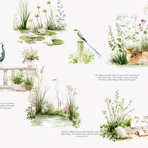 May include: Watercolor illustrations of a peacock, deer, and other wildlife in a garden setting. The image includes a peacock on a balcony, a deer resting in grass, and a bird perched on a wooden post. The style is reminiscent of French chateau life.
