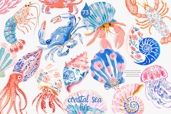 preppy coastal clipart, nautical sea animals watercolor, colorful shells crab shrimp ocean graphics, summer beach illustration set