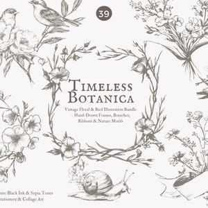 Puede incluir: Una colección de ilustraciones botánicas vintage en tinta negra y tonos sepia. La imagen presenta marcos dibujados a mano, ramas, cintas, motivos de la naturaleza, pájaros, flores y el texto "Timeless Botanica".