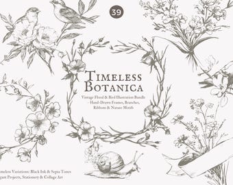 vintage botanica, floral Zeichnung, Vogel Illustration, Tusche Zeichnung, Sepia Blumen, handgezeichnet, Natur Motiv, Kranz Rahmen, Line Art, botanisch
