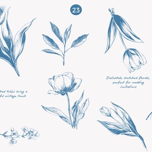 K&ouml;nnte beinhalten: Blau skizzierte Blumenillustrationen, darunter Tulpen und andere botanische Elemente. Der Text lautet: &bdquo;Skizzierte Tulpen bringen einen friedlichen Vintage-Touch&ldquo; und &bdquo;Zart skizzierte Blumen, perfekt f&uuml;r Hochzeitseinladungen&ldquo;.