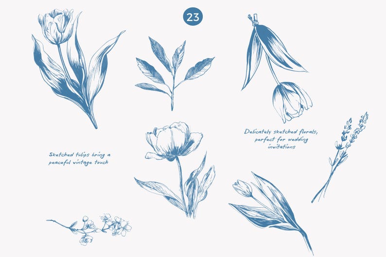 K&ouml;nnte beinhalten: Blau skizzierte Blumenillustrationen, darunter Tulpen und andere botanische Elemente. Der Text lautet: &bdquo;Skizzierte Tulpen bringen einen friedlichen Vintage-Touch&ldquo; und &bdquo;Zart skizzierte Blumen, perfekt f&uuml;r Hochzeitseinladungen&ldquo;.