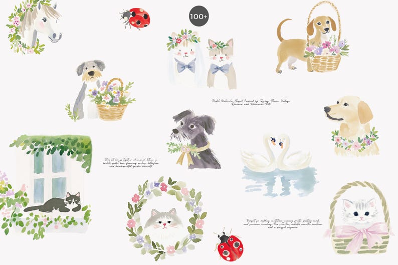 以下が含まれることがあります： 水彩画のイラストで、馬、犬、猫、白鳥など様々な動物が描かれています。花輪や花束で飾られています。てんとう虫と花のバスケットも特徴です。画像は柔らかいパステルカラーです。