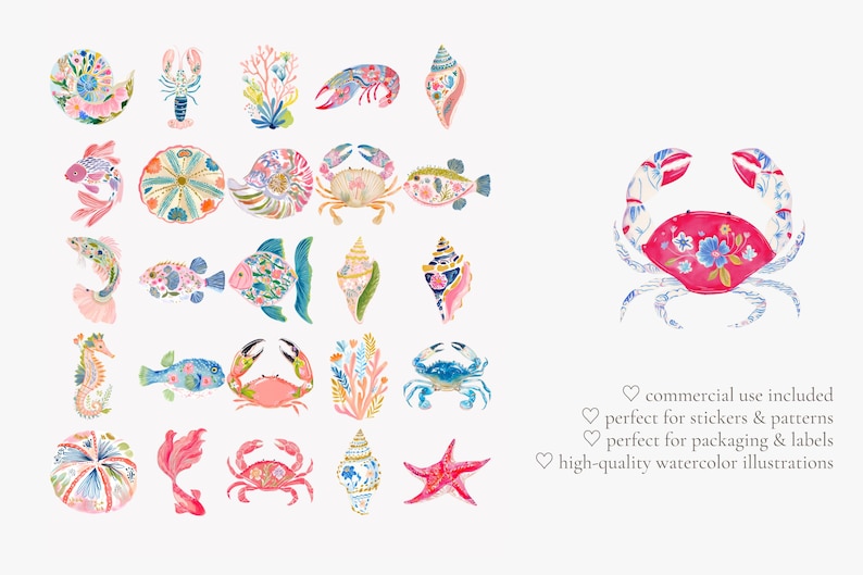May include: Watercolor illustrations of various sea creatures, including fish, crabs, seahorses, and seashells. The designs feature floral patterns in shades of pink, blue, and green. The image includes text about commercial use and suitability for stickers and labels.