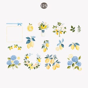 May include: Watercolor illustrations of lemons, blue hydrangeas, and floral arrangements. Includes a square frame with a blue ribbon, lemon slices, and bouquets in a variety of styles. The number "125" is in a circle.