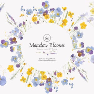 flores de pradera - clipart de flores silvestres - ramo floral - flores de acuarela - corona de primavera - ilustración botánica - flores de verano - naturaleza