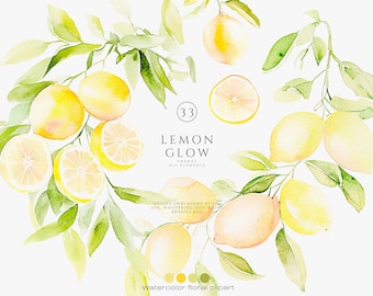 Zitrone Clipart - Zitrusfrucht Aquarell - botanische Illustration - gelbe Frucht - Sommer Dekor - Hochzeit - Wandkunst - Hochzeit - Illustration