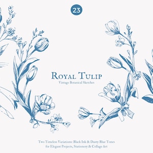 K&ouml;nnte beinhalten: Blaue Tinte botanische Skizzen von Tulpen und anderen Blumen. Der Text "Royal Tulip" und "Vintage Botanical Sketches" werden angezeigt. Das Bild enth&auml;lt auch den Text "Two Timeless Variations: Black Ink & Dusty Blue Tones for Elegant Projects, Stationery & Collage Art."