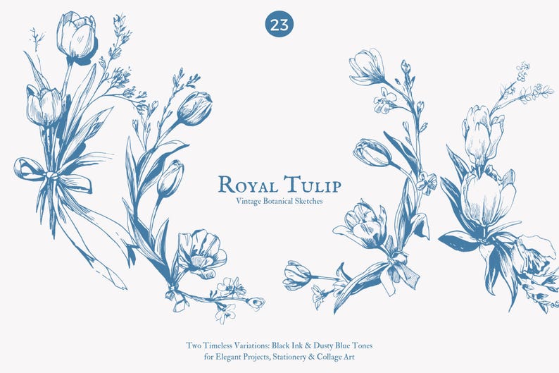 K&ouml;nnte beinhalten: Blaue Tinte botanische Skizzen von Tulpen und anderen Blumen. Der Text "Royal Tulip" und "Vintage Botanical Sketches" werden angezeigt. Das Bild enth&auml;lt auch den Text "Two Timeless Variations: Black Ink & Dusty Blue Tones for Elegant Projects, Stationery & Collage Art."
