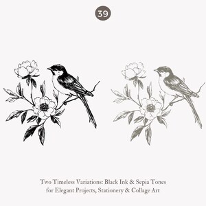 May include: Two detailed illustrations of birds perched on flowering branches. One is in black ink, the other in sepia tones. The text reads "Two Timeless Variations: Black Ink & Sepia Tones for Elegant Projects, Stationery & Collage Art."