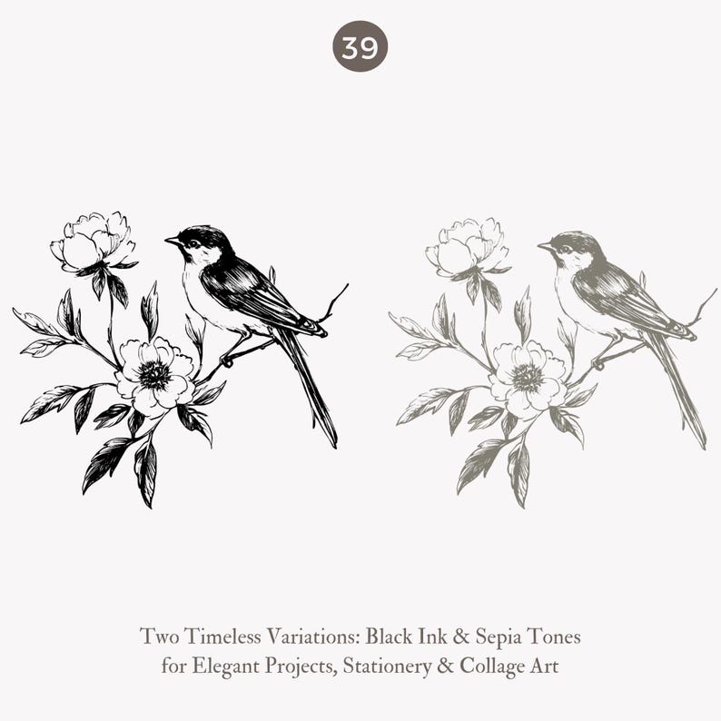 May include: Two detailed illustrations of birds perched on flowering branches. One is in black ink, the other in sepia tones. The text reads "Two Timeless Variations: Black Ink & Sepia Tones for Elegant Projects, Stationery & Collage Art."
