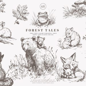 animaux des bois - clipart forêt - croquis vintage - créatures de la forêt - illustration d'animaux - graphismes rustiques - png des bois - dessinés à la main